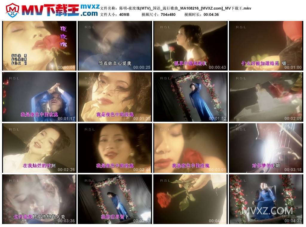 陈明-夜玫瑰(MTV)_国语_流行歌曲_MA108216